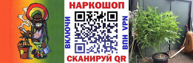 Наркошоп купить Канабис  Cocaine  ГАШИШ  A PVP  Меф  Белый