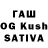 Каннабис OG Kush Maxin Novikov