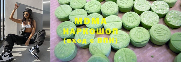 мдпв Инсар