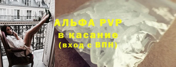 PSILOCYBIN Иннополис