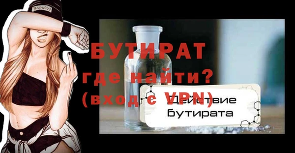 мдпв Инсар