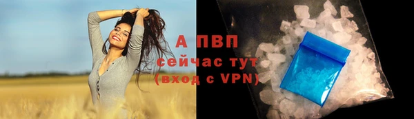 PSILOCYBIN Иннополис