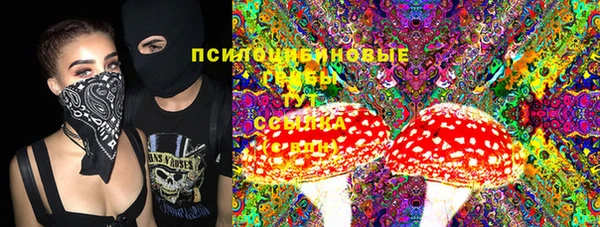 2c-b Зеленокумск