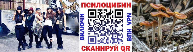 Псилоцибиновые грибы мицелий Белый